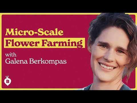 Blooming Big on a Small Scale with Galena Berkompas | The Beet