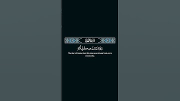 يعرفون نعمت الله ثم ينكرونها #خالد_الجليل #ياسر_الدوسري #quran #tilawat #تلاوة_خاشعة #اكسبلور