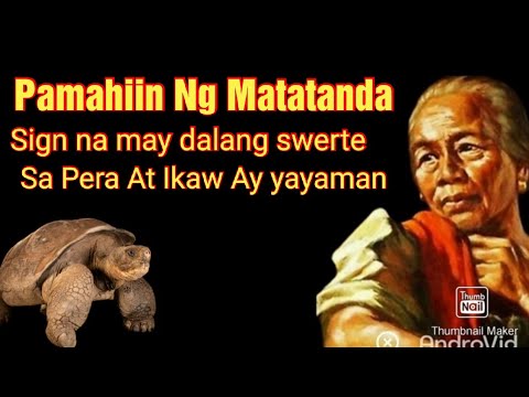 Video: Paano Mapanatili Ang Isang Pagong Sa Bahay