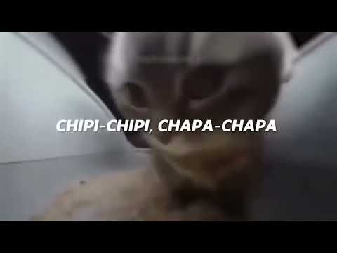 Chipi Chipi Chapa Chapa Dubi Dubi Daba Daba Christell - Dubidubidu