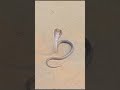 Black Cobra