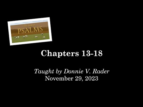 Video preview