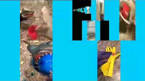 up to faster 93 to Shark puppet