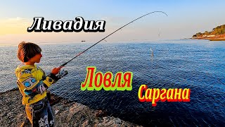 видео: Новый Спиннинг в Деле. Ловля саргана на пилькер. Морская рыбалка в Ливадии картинка: Новый Спиннинг в Деле. Ловля саргана на пилькер. Морская рыбалка в Ливадии