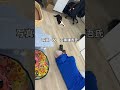 会社猫ふくカレンダー予約受付中✨Amazon予約特典として、スマホ待受画面配信🥰Amazonで受付中https://amzn.asia/d/07ul8v78#株式会社日章 #会社猫 #カレンダー