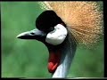 South African Airways Commercial - UK 1989