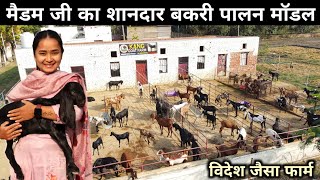 युवा लड़की संभाल रही है इतना बड़ा बकरी फार्म | Goat Farming | Best Goat Breed For Farming In India