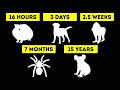 How Long Animals Can Live Without Water