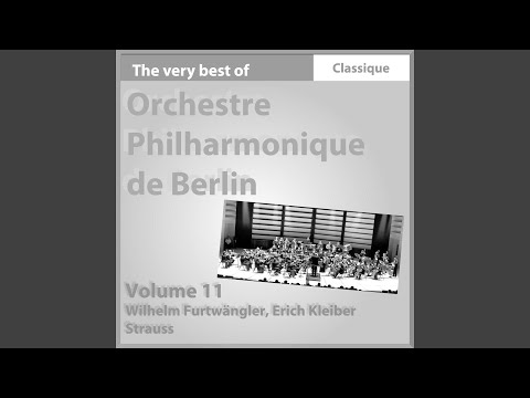 Sinfonia Domestica, Op. 53 : Scherzo. Munter