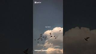 s new my Love Chinese Song English S