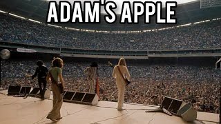 Aerosmith - Adam's Apple - Pontiac Silverdome 1976