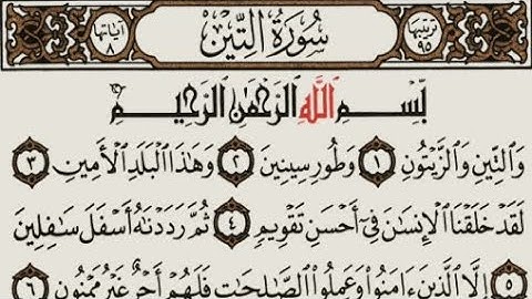 سورة التين القارئ إسلام صبحي