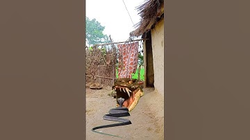 snake V