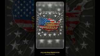 USA Map Wall Art | 3D Metal Flag Digital Print | Shiny Silver & Gold Patriotic Decor | United Sta...
