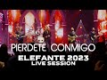 Piérdete Conmigo ELEFANTE 2023 (Live Session)