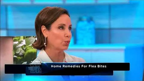 How to Identify and Treat Bug Bites -- The Doctors