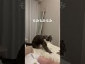 天天国地獄国の子猫 #猫のいる暮らし