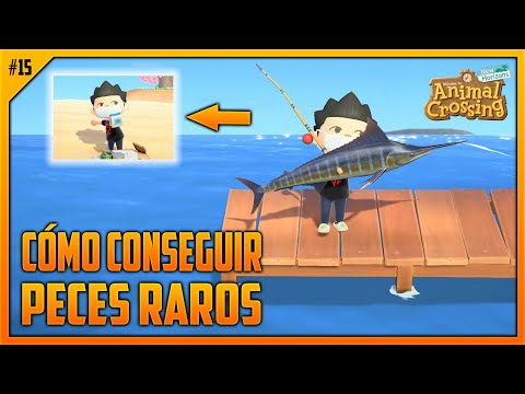 CÓMO CONSEGUIR PECES RAROS 🎣 TRUCOS DE PESCA EP. 15 | ANIMAL CROSSING NEW HORIZONS