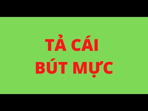 Video TẢ CÁI BÚT MỰC - youtube