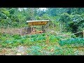 300 days of designing and building shelters in the wilderness - How to build a LOG CABIN | Ep.71