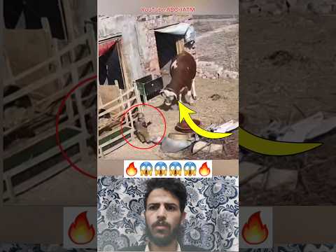 رحمة الله إذا حضرت حي رت العقول لايك اكسبلور 