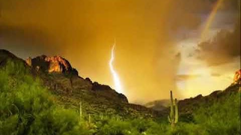 الشيخ محمد ايوب تلاوة خاشعة تريح القلب