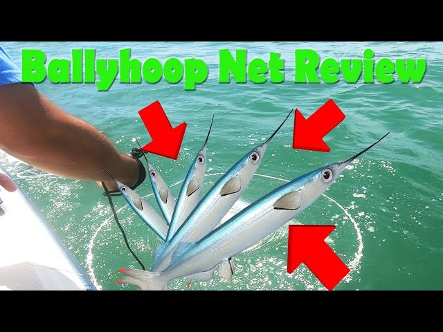 Ballyhoop Bait Net Review **First Time Use ** How to Catch Live