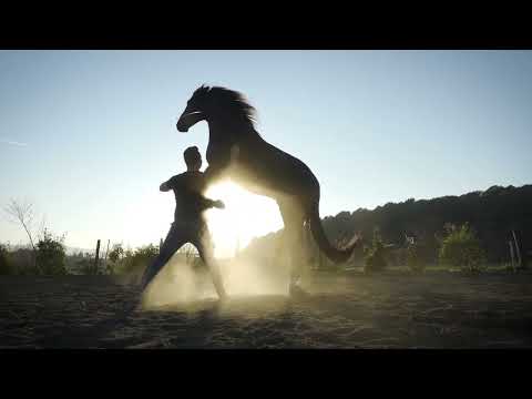 MIRON BOCOCI - FREESTYLE HORSE SHOW  2022