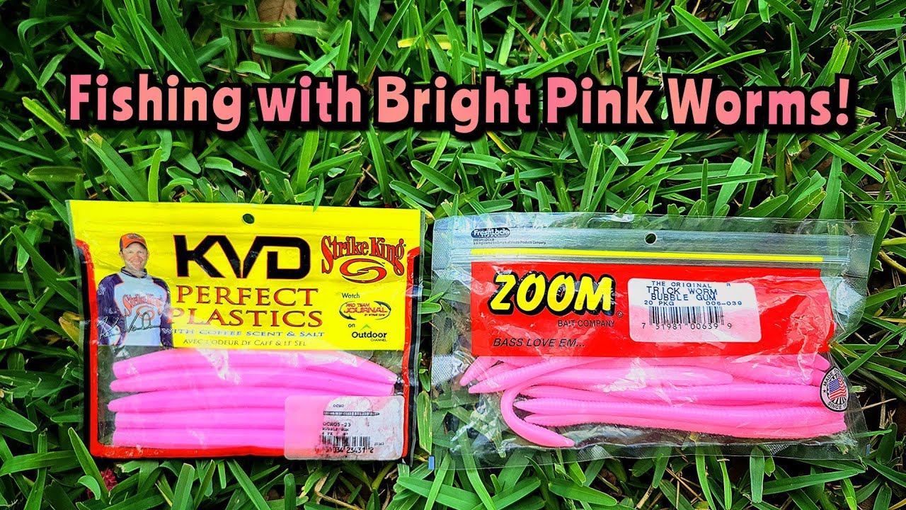 Summer Bass Fishing with Bright Pink Worms! 