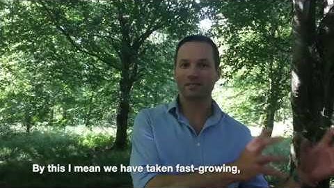 An introduction to Brimstone, thermally-modified British wood from Vastern Timber