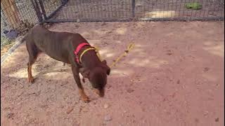 576666916 25969481339307564 1974787007851467945 n