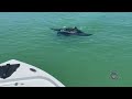 UGC: Curious manta ray swims close to police patrol boat in Florida | AFP