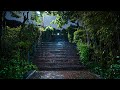 Walking on a Rainy Night from Yanghwa Bridge to YG Entertainment | Umbrella Sounds 4K HDR