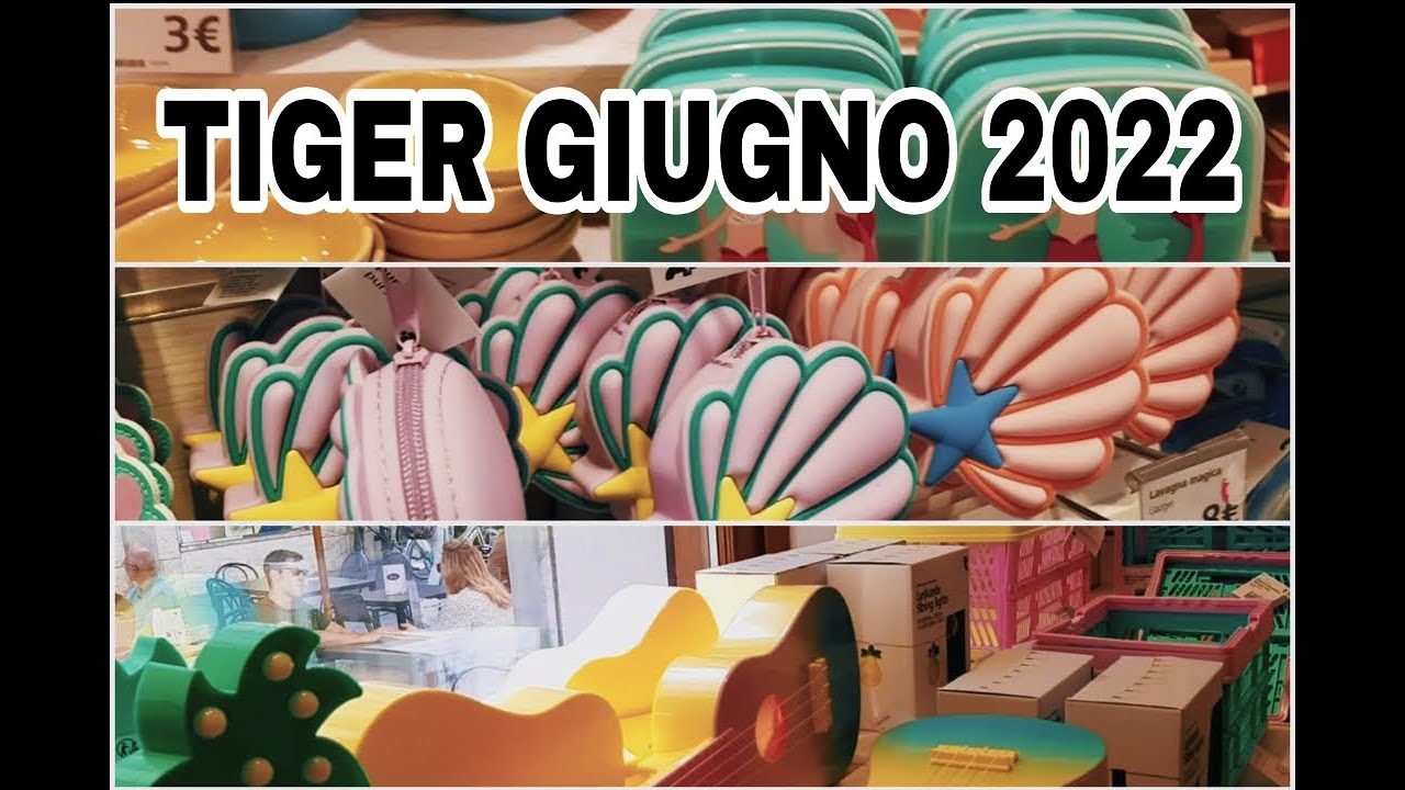 TOUR TIGER GIUGNO 2022