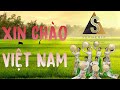 Ma xin cho vit nam  v on sepheria