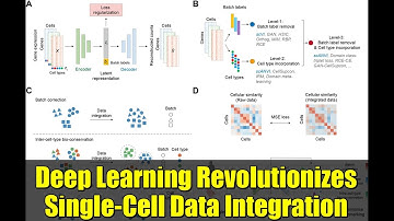 Deep Learning Revolutionizes Single-Cell Data Integration