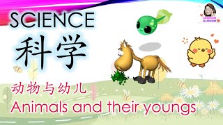 科学  (动物与幼儿) Science: Animals & Their Youngs [学前教育 Prasekolah]