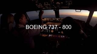 Boeing 737 800 - Approach and Landing - Mar del Plata - Argentina -