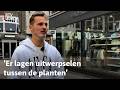 Chaos in de stad door komst nieuw horloge | RTV Utrecht