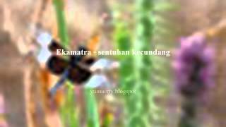 Miniatura de vídeo de "Ekamatra - Sentuhan kecundang"