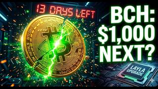 BCH Layla-Upgrade: Erreicht Bitcoin Cash im Mai 2026 die 1.000-Dollar-Marke? 🚀