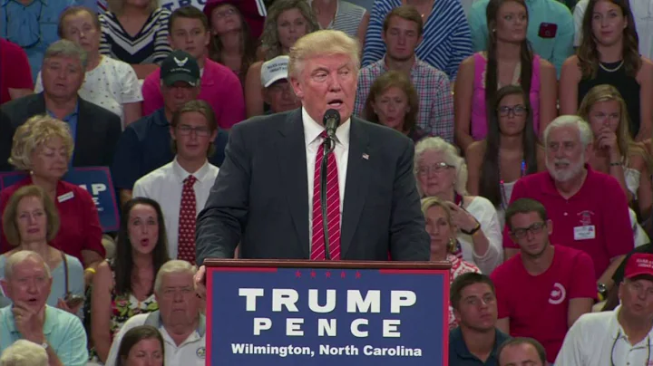 Trump Remarks On What "2nd Amendment People" Can Do About Clinton