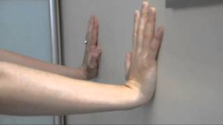 видео Упражнения для мышц рук / анатомия