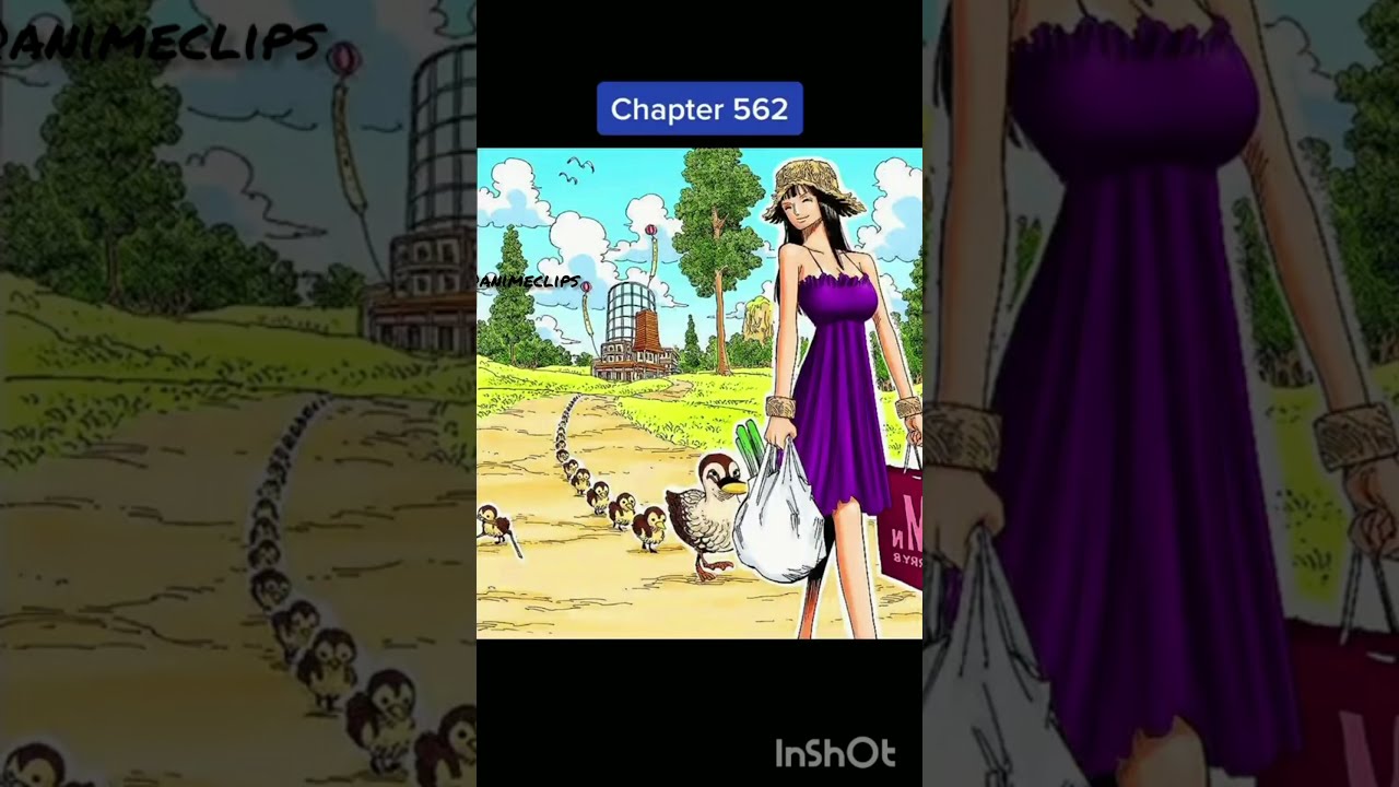 Download One Piece Momonosuke Takes A Bath With Robin Funny Moment Mp4 Mp3 3gp Naijagreenmovies Fzmovies Netnaija