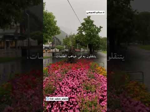 اصحاب السوء