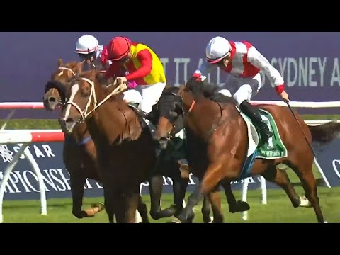 The $5K roughie chasing a top-three finish at Randwick