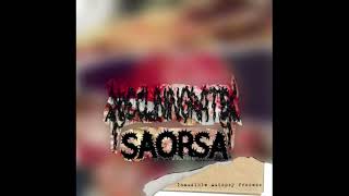 Declining Rate / Saorsa - Inaudible Autopsy Process (Split) (2021 - Noise / Noisegrind)