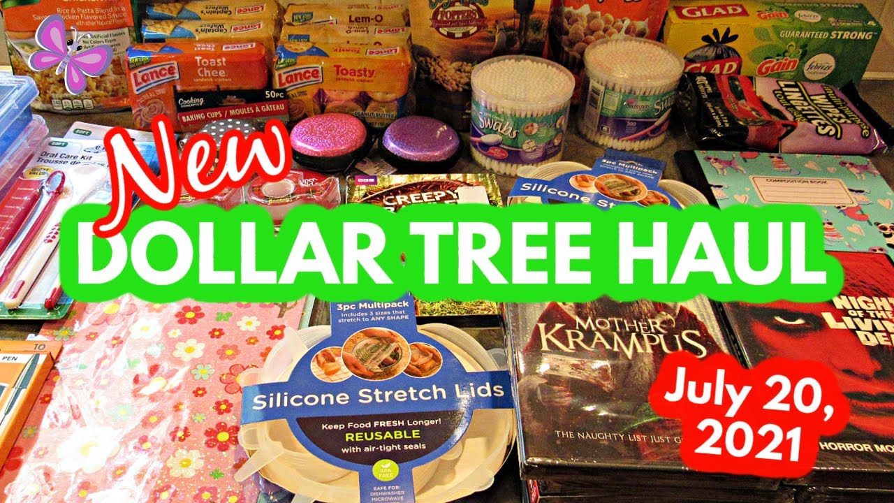 Dollar Tree Haul (All New Items)