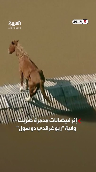       
 - نشر قبل 1 ساعة