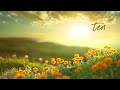 Morning Relaxing Music - Stress Relief Music, Positive Energy, Morning Music (Adele)